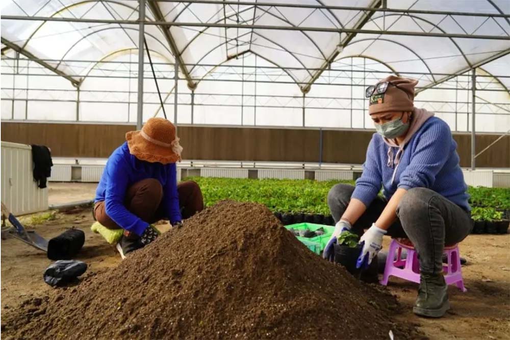 变废为宝～园林绿化废弃物实现资源再利用