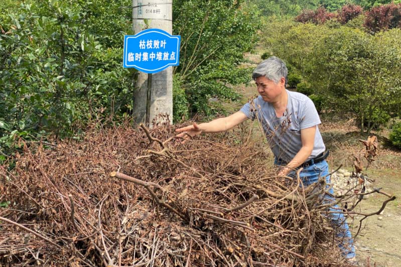 园林绿化废弃物处理现状及国外处理方式